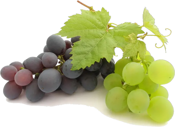 Download Grape Png File Transparent Background Grapes Transparent Grape Png