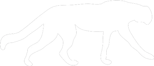 White Cheetah Icon White Cheetah Png Cheetah Transparent