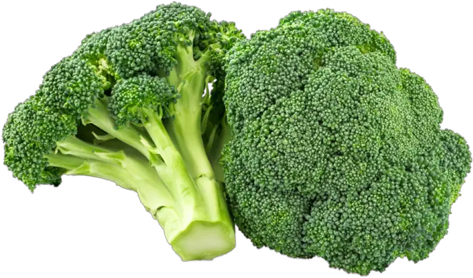 Organic Broccoli 1 Bunch Brokkoli Transparent Png Broccoli Transparent