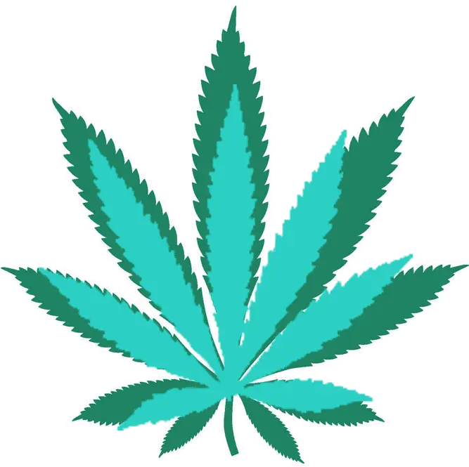 Medical Marijuana Start Marijuana Leaf Png Cannabis Logo