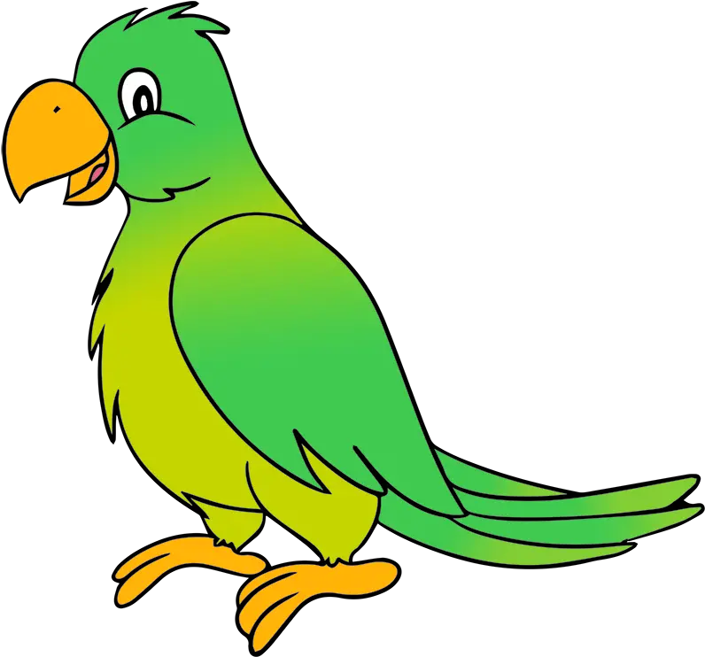 Clipart Images Parrot Transparent Parrot Clipart Png Parrot Transparent