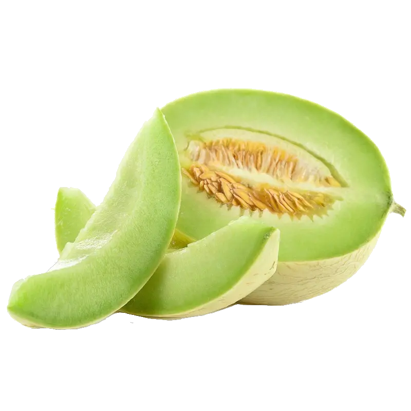 Download Honeydew Melon Honeydew Cantaloupe Png Melon Png