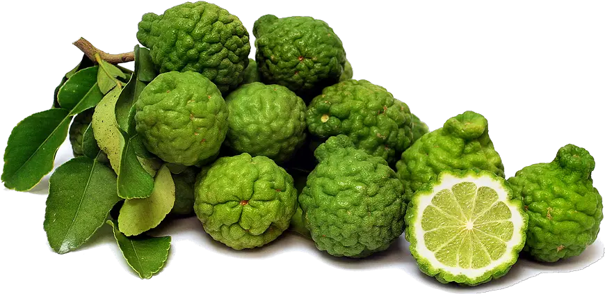 Kaffir Lime Png 3 Image Lemon With Rough Skin Lime Transparent Background