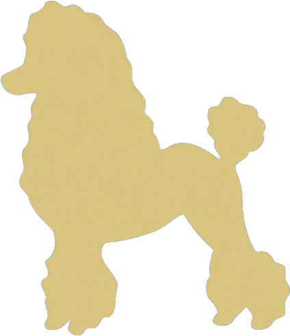 Texas Sgrho History Poodle Skirt Pattern Png Poodle Png