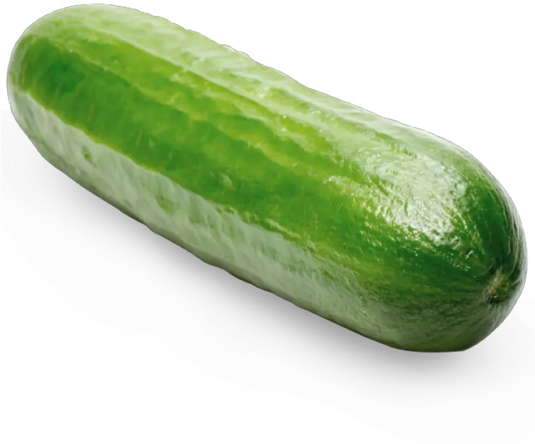 Cucumber Cucumber Png Cucumber Transparent