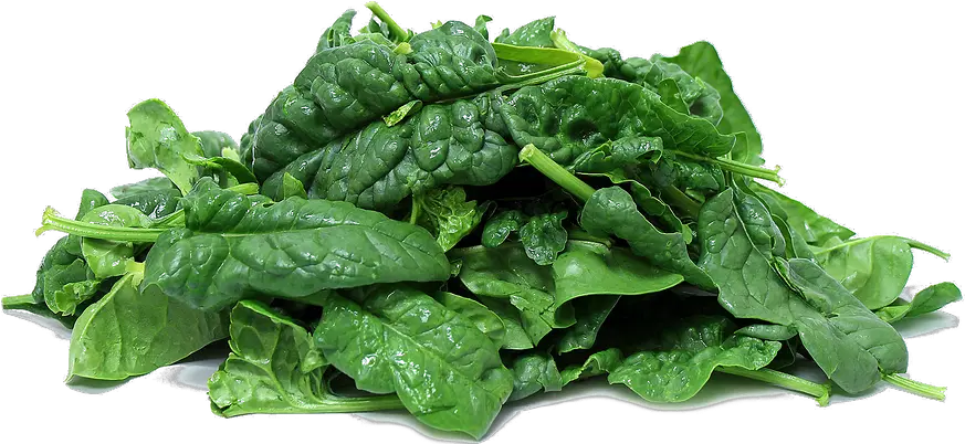 Download Spinach Png Clipart Spinach Png Spinach Png