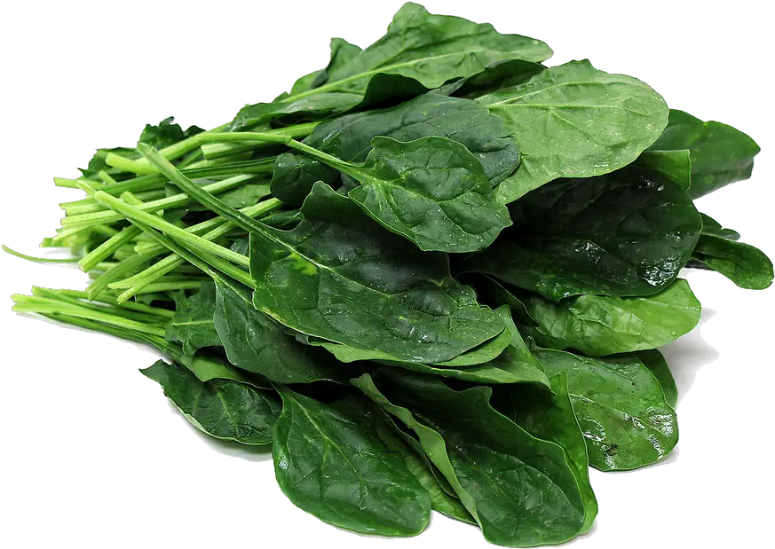 Download Spinach Png File Spinach Png Spinach Png