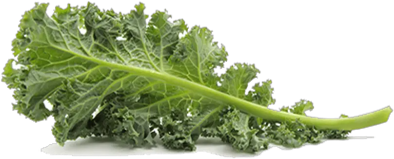 Kale Png Pic Images Transparent Kale Png Kale Png