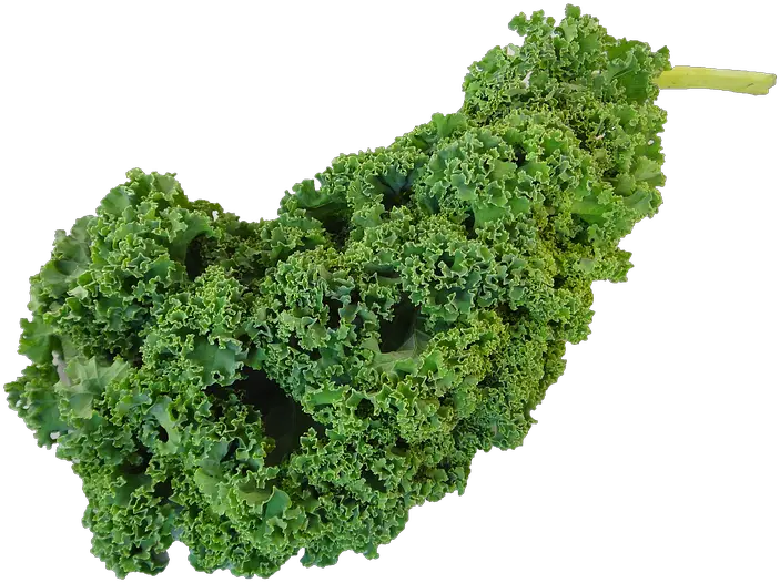Kale Png Clipart Kiel Vegetable Kale Png