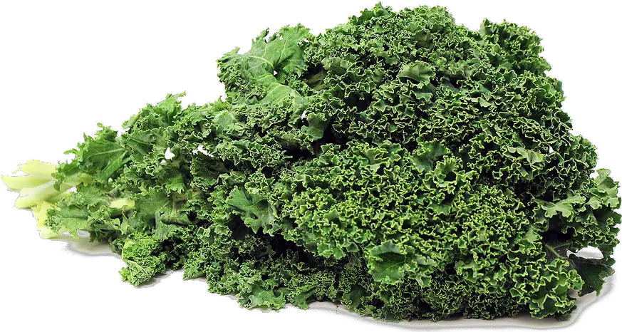 Download Kale Png Photos Kale Png Kale Png