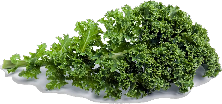 Kale Png 1 Image Kale Png Kale Png