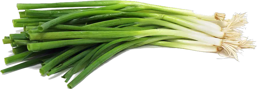 Green Onion Png 2 Image Green Onion Png Onion Png