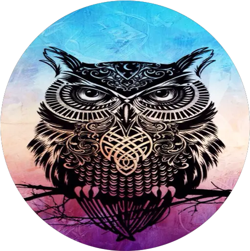 Owl Wallpaper Apk 10 Download Apk Latest Version Eastern Screech Owl Png Bowsette Icon