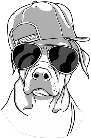 Cool Dog Glasses Transparent Png U0026 Svg Vector File Cachorro De Oculos Desenho Glasses Transparent Background