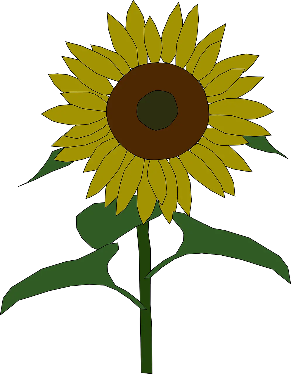 Sunflower Pattern Png