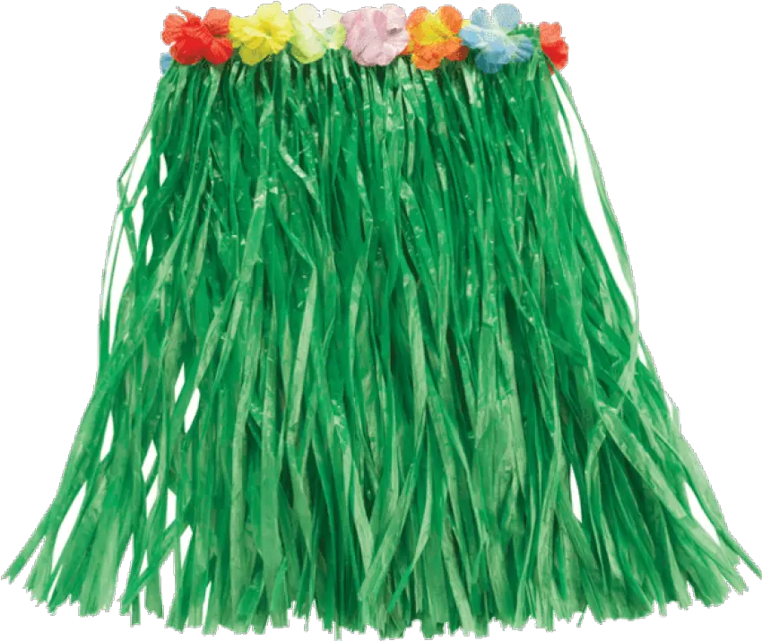 Hawaiian Grass Skirt Png Image Grass Skirt Skirt Png