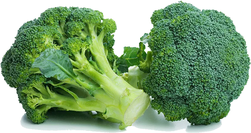 Organic Broccoli Glucoraphanin Content Broccoli Sprouts Png Broccoli Png