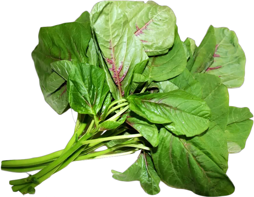 Amaranth Leaves Png Image Managu Spinach Png