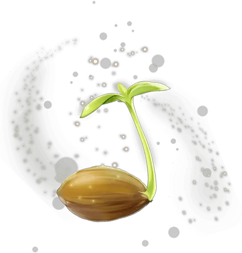 Hd Mysterious Sprout Transparent Transparent Sprout Png Sprout Png