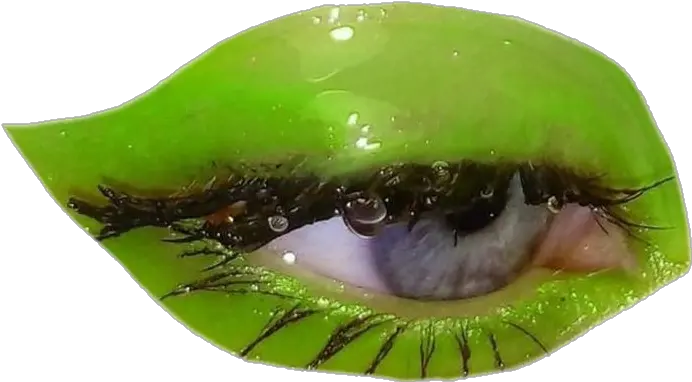 Wetgreeneyeseyeeyemakeup Fillerastheticshinymoodpolyvor Macro Photography Png Shiny Eyes Png