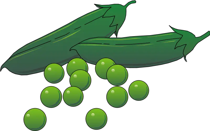 Pea Png Peas Clipart Pea Png