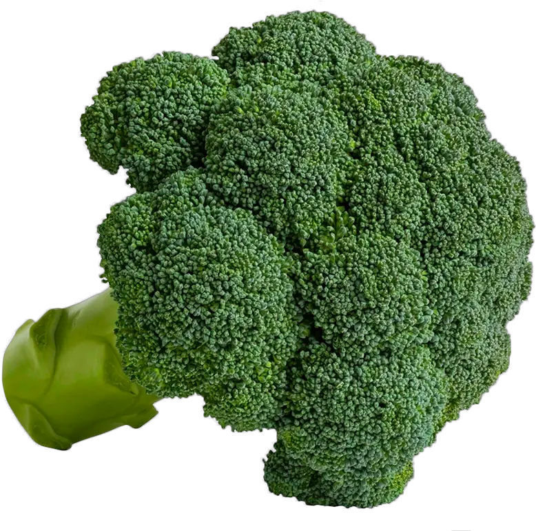 Broccoli Welcome To Grönsaksmästarna Png Transparent