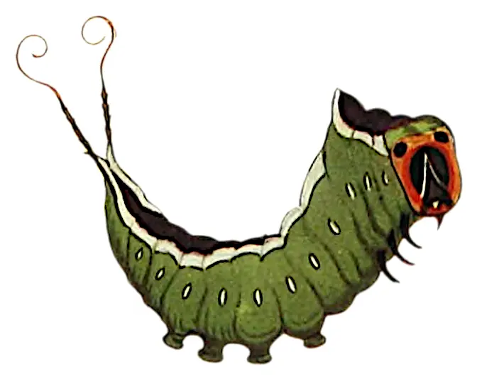 Puss Moth Caterpillar Sticker Parasitism Png Moth Icon