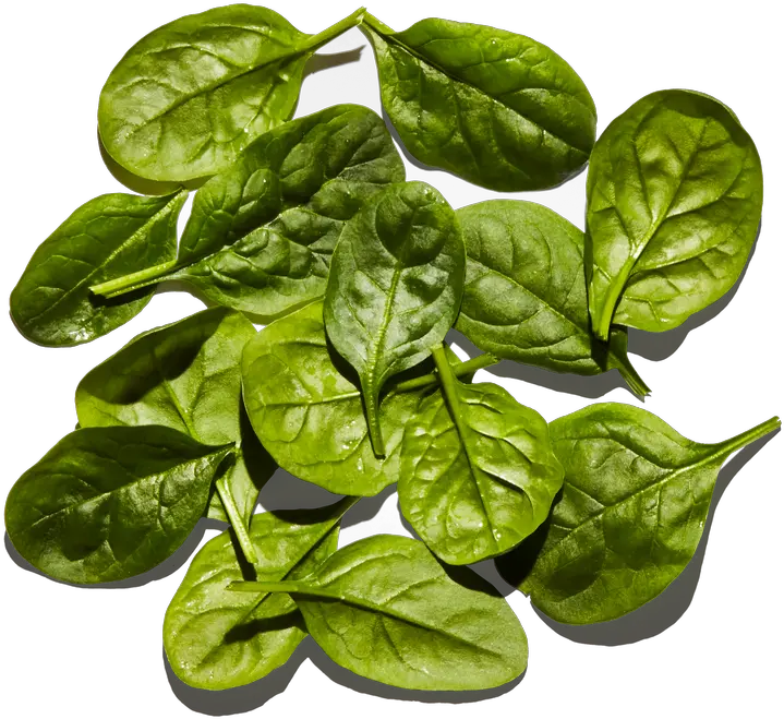 Baby Spinach Houseplant Png Spinach Png