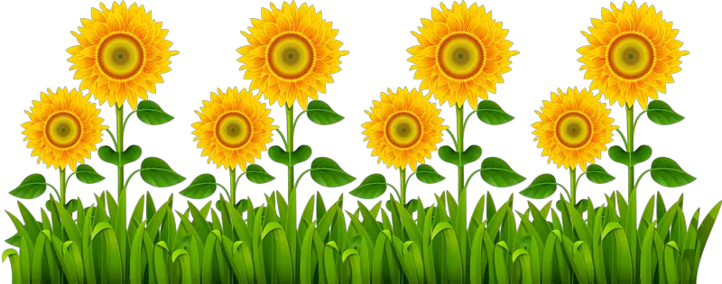 Sunflower Logo Png