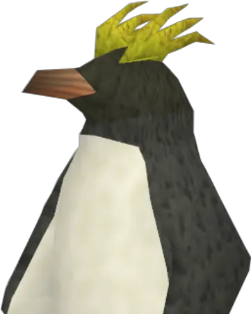 Noodle Runescape Wiki Fandom Rockhopper Penguin Png Noodle Png