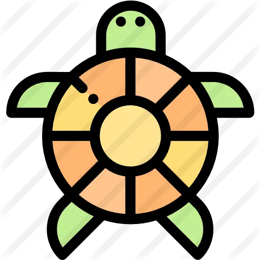 Tortoise Free Animals Icons Cold Icon Png Tortoise Png