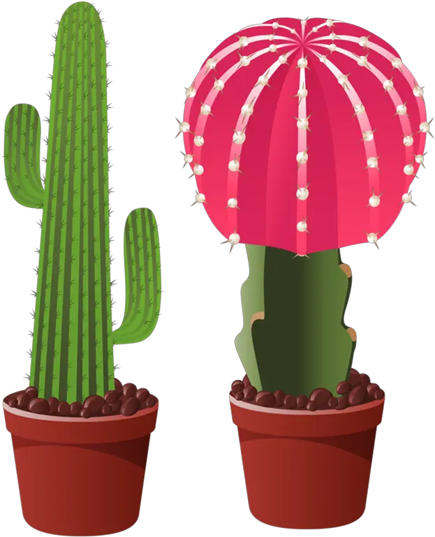 Flower Cactus Clip Art Transparent Png Cut Clipart Cactus Transparent Background Cactus Clipart Png