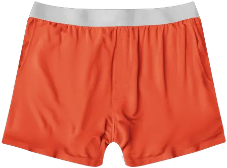 Celebrate Chilling Solid Png Shorts Png