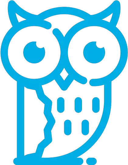 The Advanced Support Enables Access To Some Of Wise Wise Icon Png Wise Owl Icon