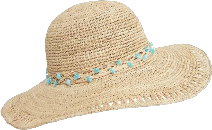 Download Raffia Hat Png Transparent Image Free Transparent Transparent Background Summer Hat Png Hat Png