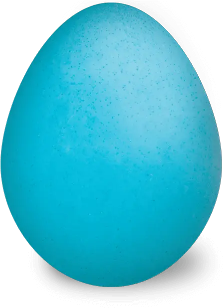 Paas Easter Eggs Dye And Egg Decorating Kits Sphere Png Egg Transparent