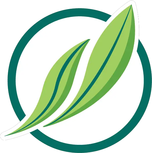 Ctpharma Ct Pharma Brand Png State Of Connecticut Icon