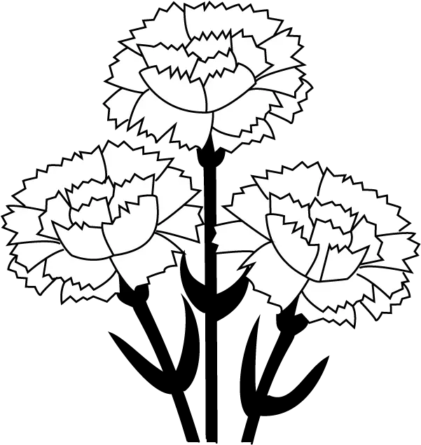 Free Carnation Cliparts Download Clip Art Carnation Clipart Black And White Png Carnation Png