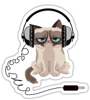 Grumpy Cat Headphones Tank Women Mutinyaudio U203a Portfolio Head Phones Png Grumpy Cat Png