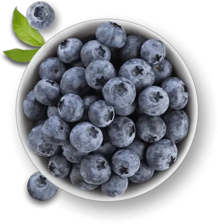 Berries Faqs Driscollu0027s Blueberry Bowl With Transparent Background Png Blueberry Png