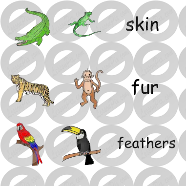 Jungle Animals Picture For Classroom Therapy Use Great Day Clip Art Png Jungle Animals Png