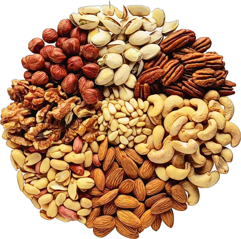 Nuts Png Transparent Images Museum Of Pop Culture Nut Png