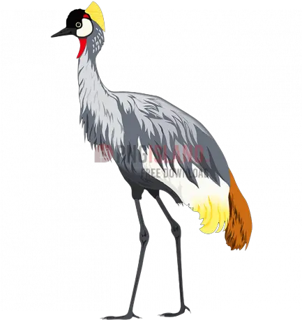 Crane Stork Bird Png Image With Transparent Background Crowned Crane Bird Png Bird Transparent Background