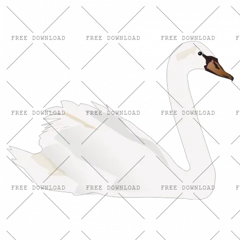 Duck Goose Swan Bird Png Image With Transparent Background Bloemenboog Met Witte Zwanen Goose Transparent