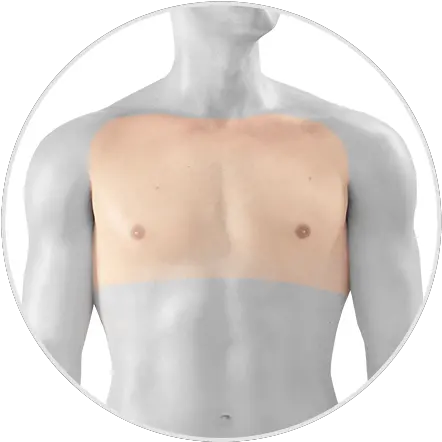 Chest Laser Hair Removal Take Care Of Your Skin With Enviecouk Barechested Png Chest Hair Png