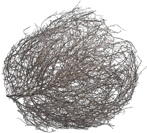 Tumbleweed Drawing Tumbleweed Png Tumbleweed Png