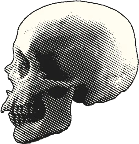 Scary Halloween Images Transparent U0026 Png Clipart Free Illustration Spooky Png