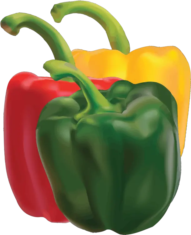 Library Of Jpg Royalty Free Bell Peppers Png Files Bell Pepper Vector Png Pepper Transparent