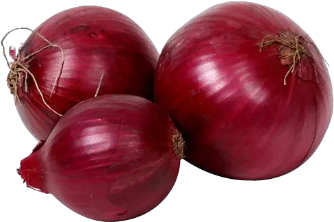 Onion Png Images 5 Image Onion Premium Onion Png