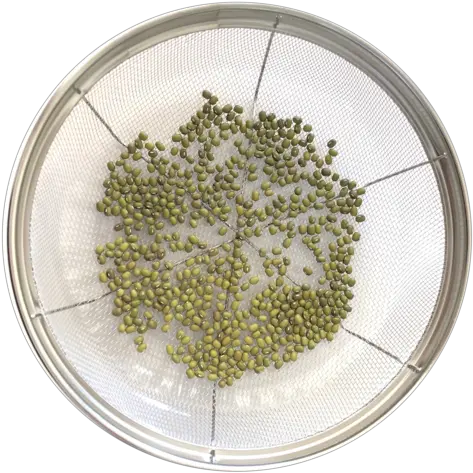 Tony Hornick Sprout Grower Instructions U2013 Growers Mung Bean Png Bean Sprout Icon